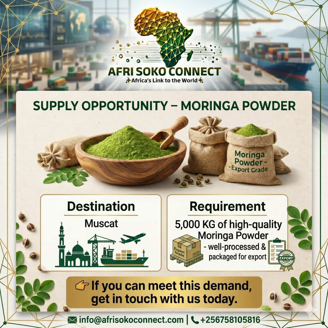 Supply Opportunity: 5,000 KG of Export-Quality Moringa Powder Needed for Muscat – Can You Supply?