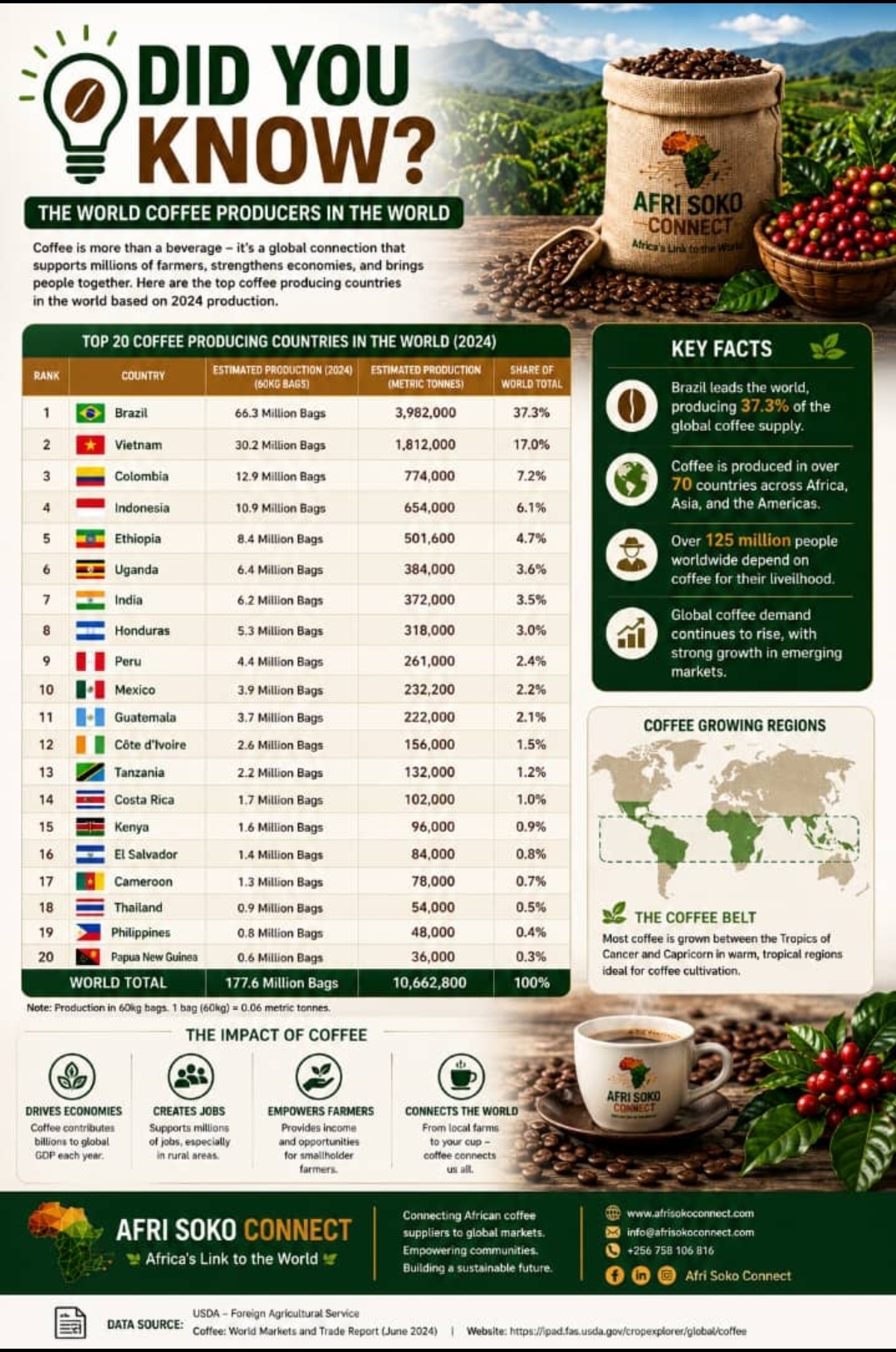 DID YOU KNOW? Uganda Ranks 6th Among the World's Top Coffee Producers in 2024