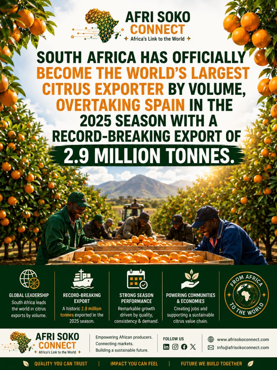 South Africa Becomes World's Largest Citrus Exporter, Overtaking Spain with Record 2.9 Million Tonnes