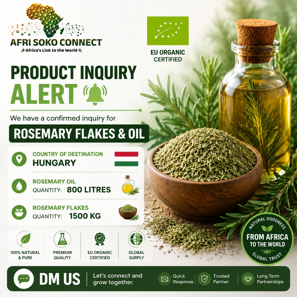 Product Inquiry Alert: Rosemary Flakes & Oil –  Litres KG to Hungary | EU Organic Certified