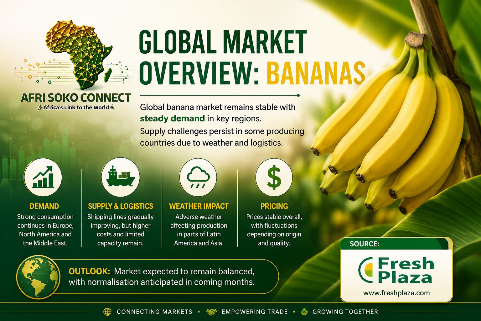 Global Market Overview: Bananas – Stable Demand, Persistent Supply Challenges & Mixed Price Trends (2026)