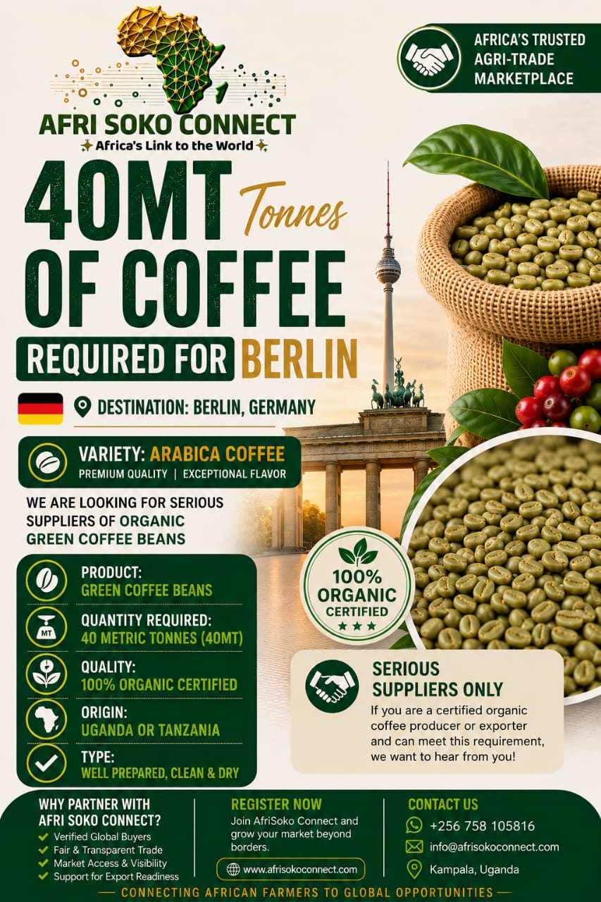 40MT Organic Arabica Coffee Required for Berlin – Serious Suppliers of Green Coffee Beans Wanted